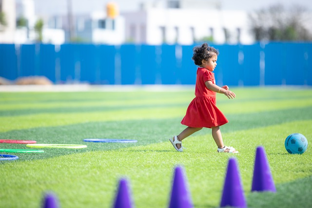 因素的综合 因素的综合