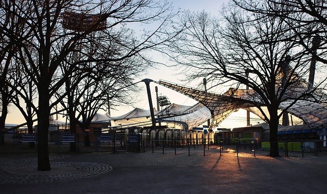 不仅来自于 不仅来自于