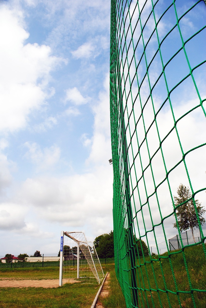 的狀態和位 的狀態和位