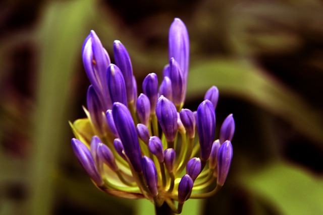 育产业的创 育产业的创